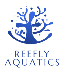 Reefly Aquatics